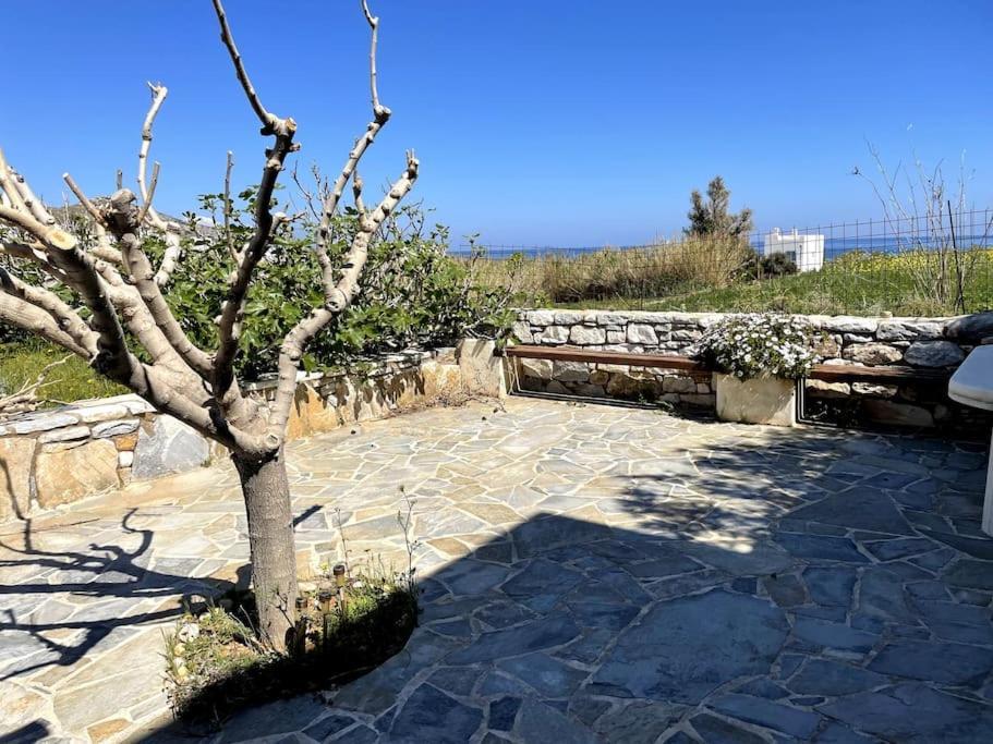 Ariadne's - Apollonas *