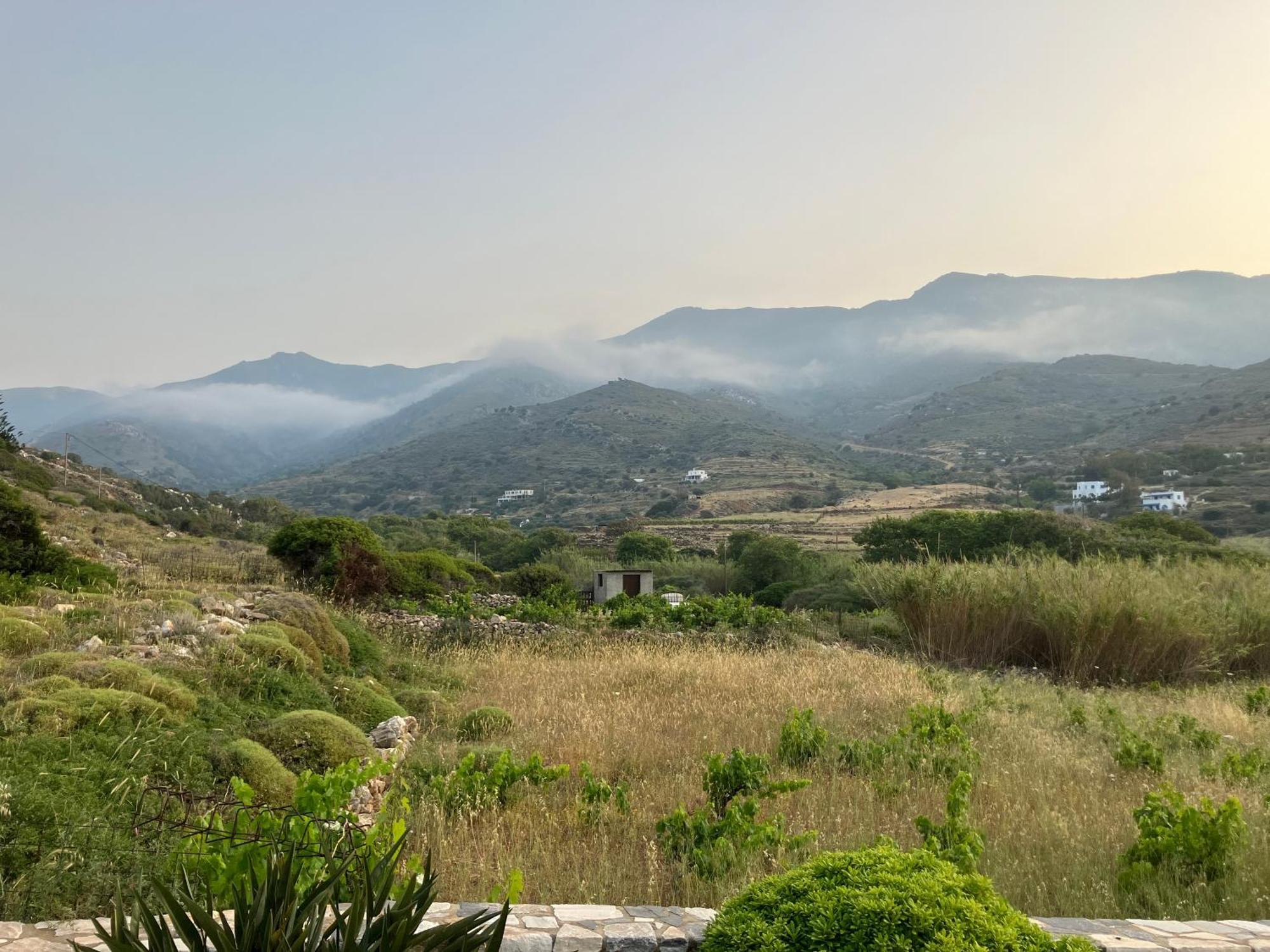 Daire Ariadne's - Apollonas Apollon (Naxos)