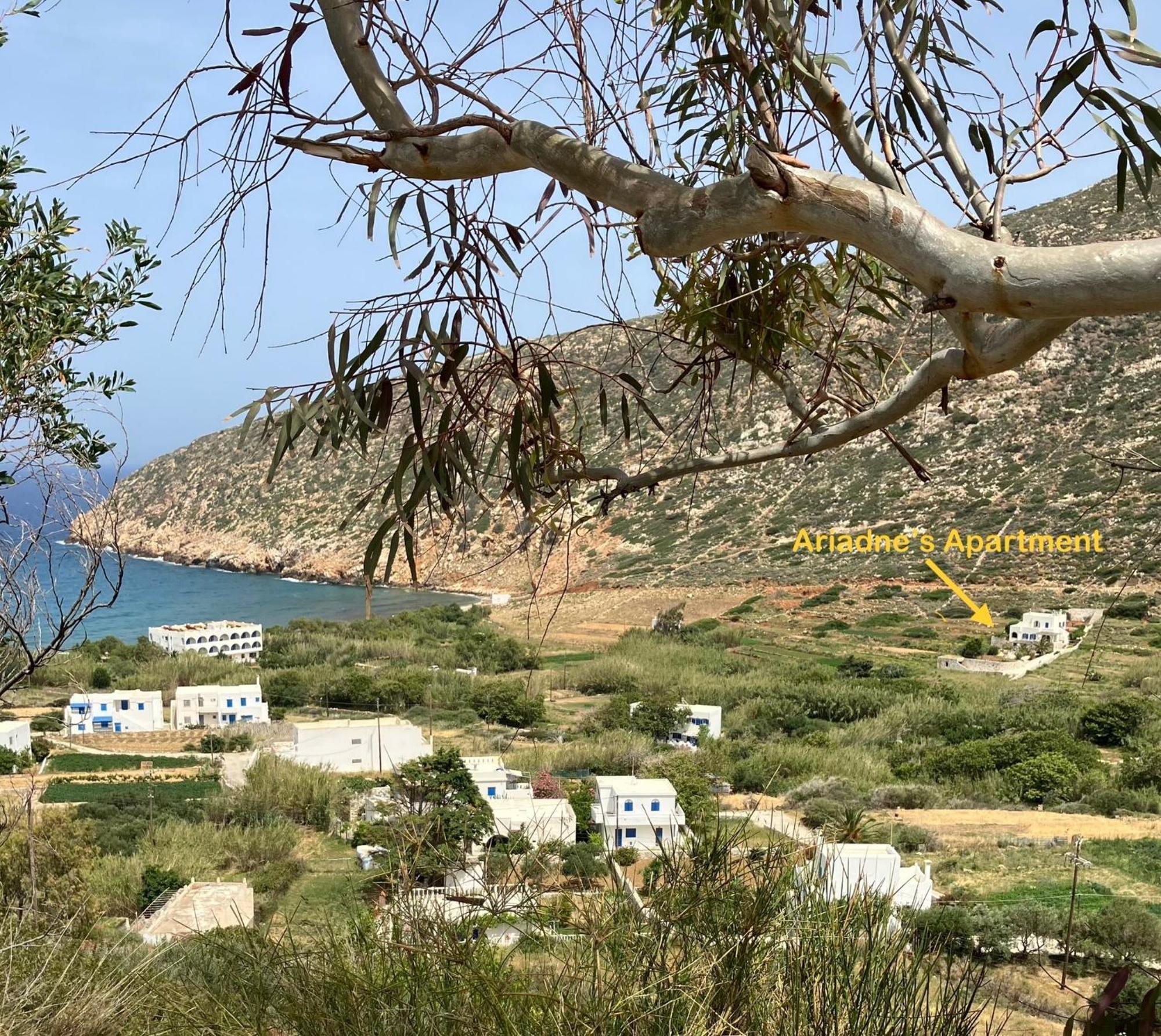 Ariadne's - Apollonas Apartment